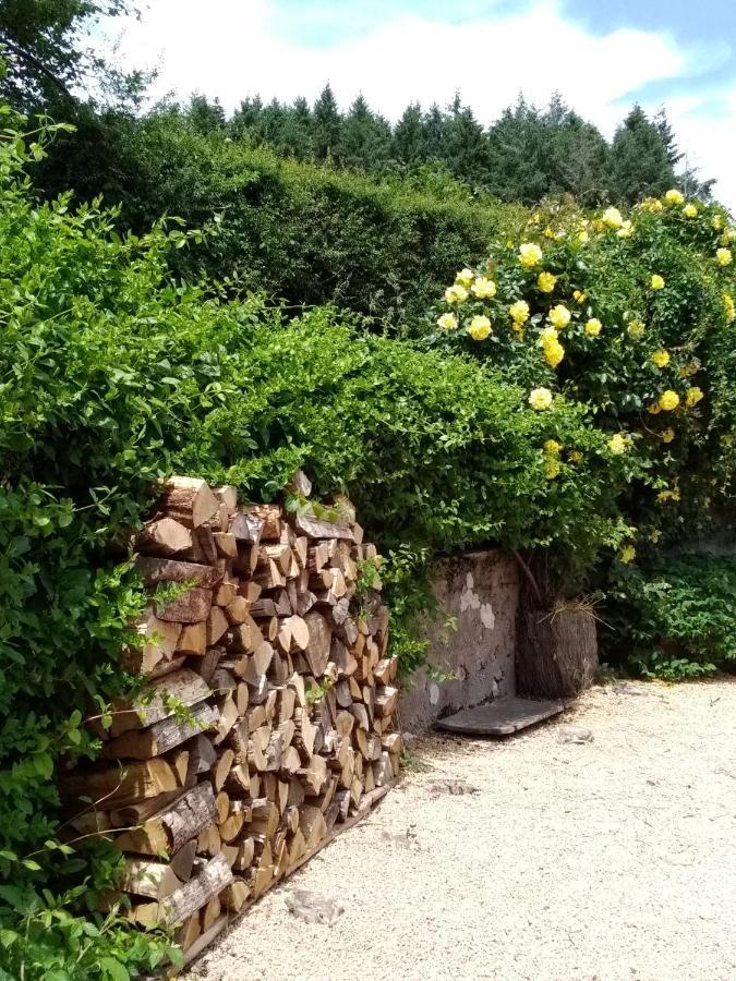 La Maison Du Potager Saint-Racho 외부 사진