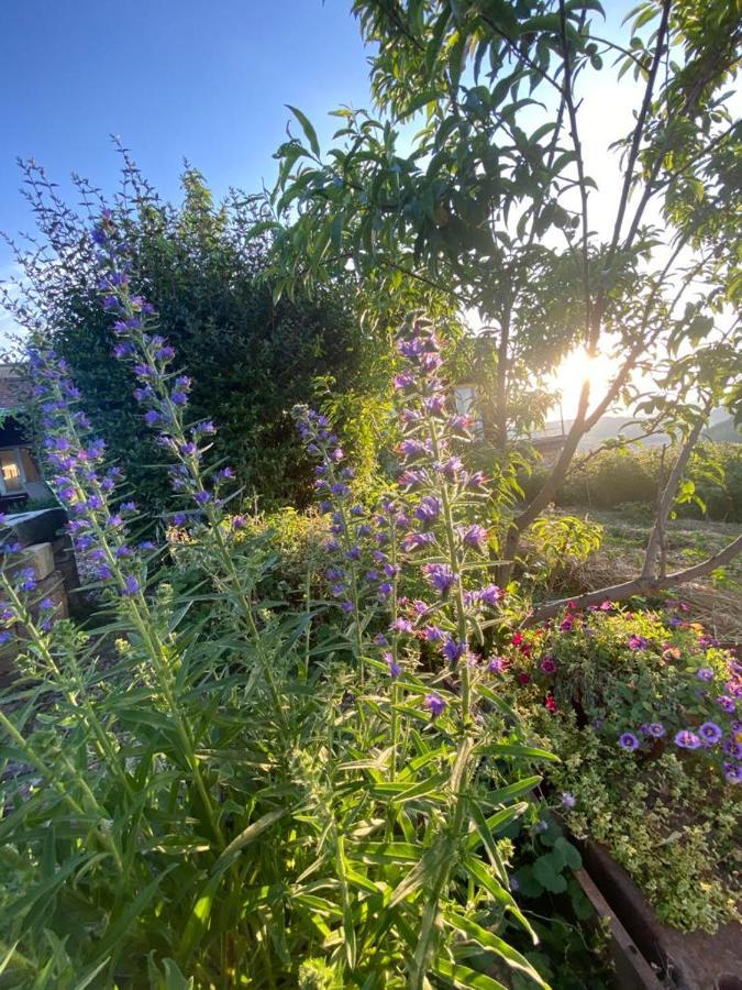 La Maison Du Potager Saint-Racho 외부 사진
