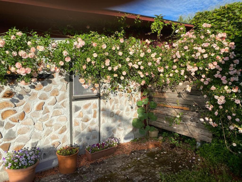 La Maison Du Potager Saint-Racho 외부 사진