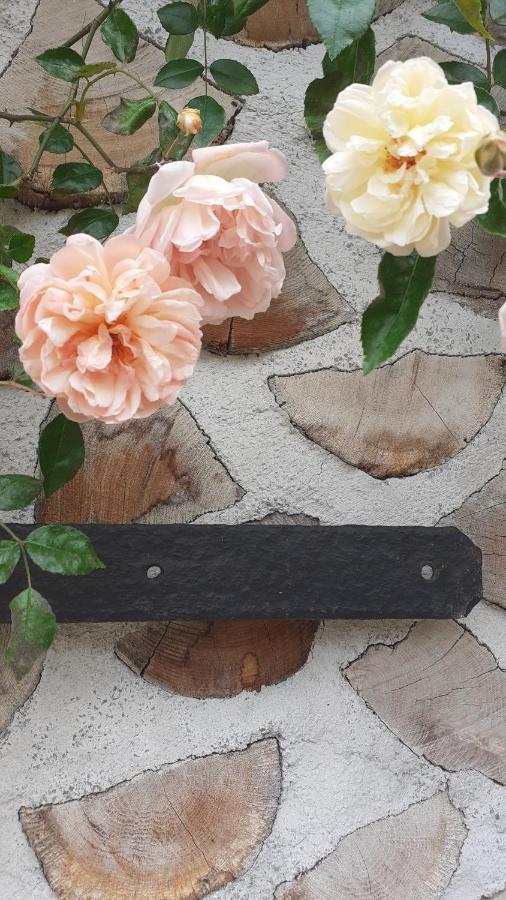 La Maison Du Potager Saint-Racho 외부 사진