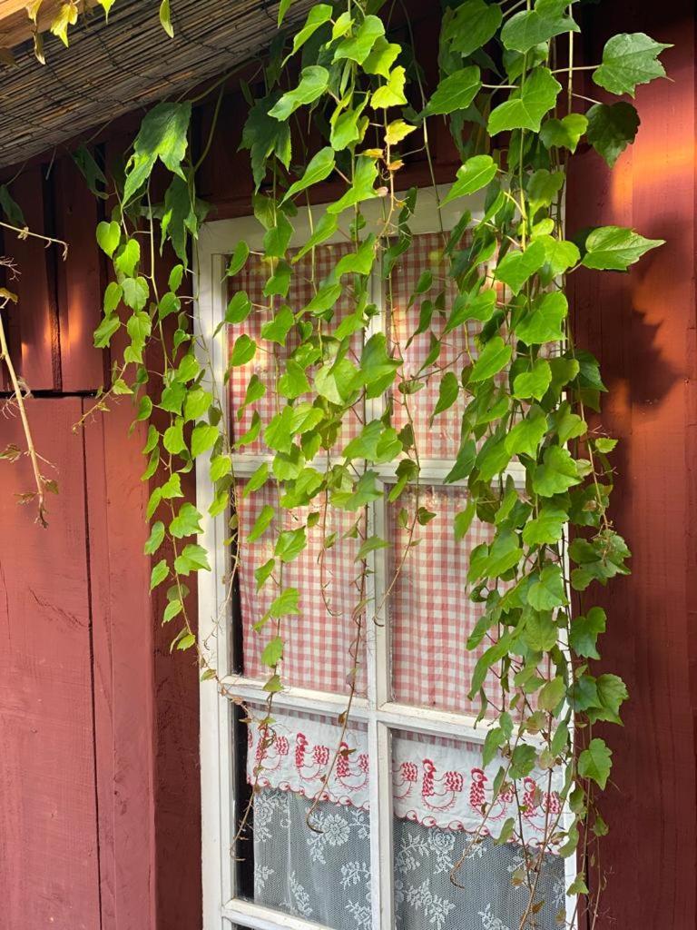 La Maison Du Potager Saint-Racho 외부 사진